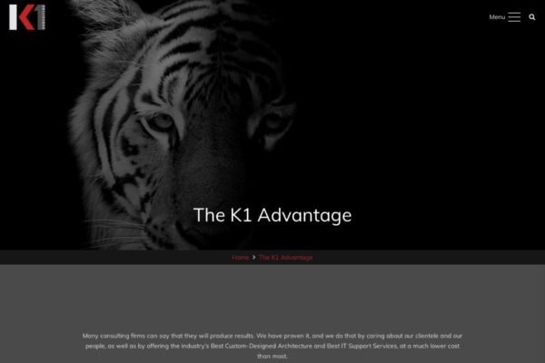K1 Consulting_About